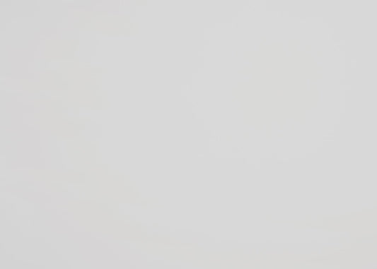 B119 - Chest - White