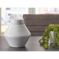 Domina Large Jar (Set of 2)