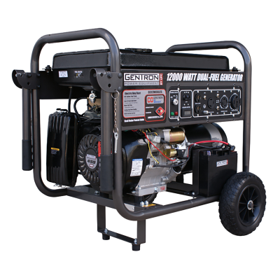 Gentron 12000 Watt Duel Fuel Generator w/E Start