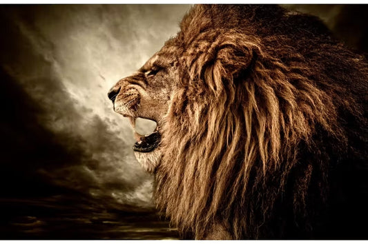 Lion Tempered Glass With Foil